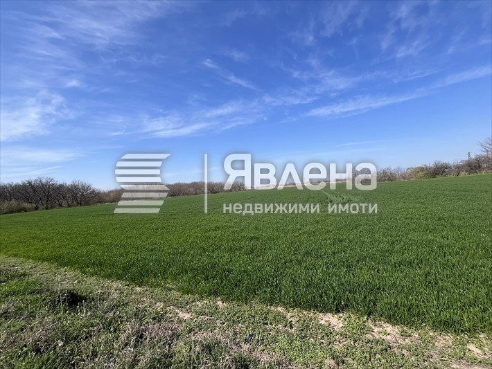 Продава ПАРЦЕЛ, с. Стрелци, област Пловдив, снимка 3 - Парцели - 48524858