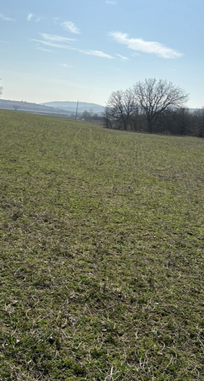 Продава ПАРЦЕЛ, с. Богомилово, област Стара Загора, снимка 12 - Парцели - 52735291