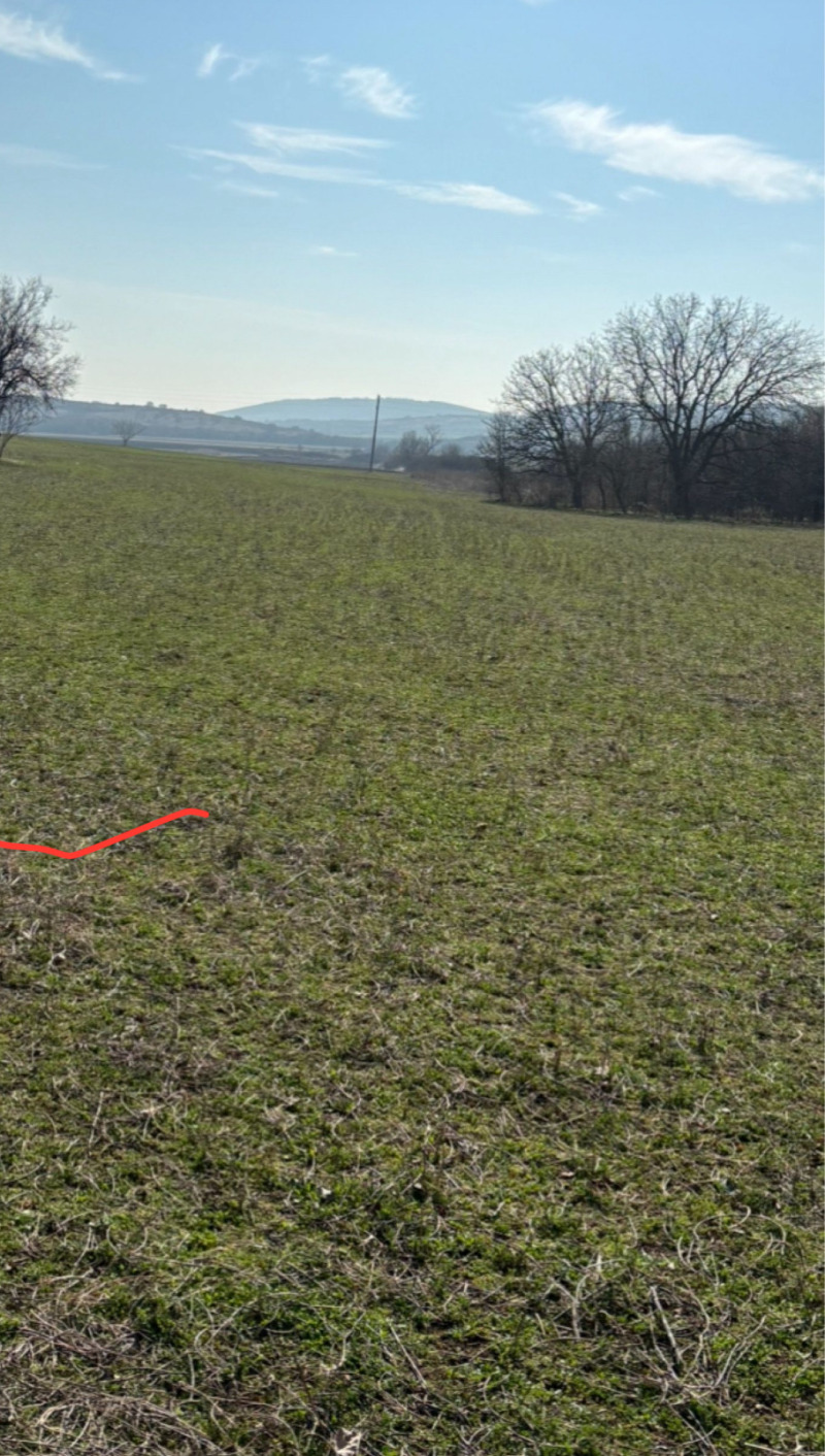 Продава ПАРЦЕЛ, с. Богомилово, област Стара Загора, снимка 5 - Парцели - 52735291