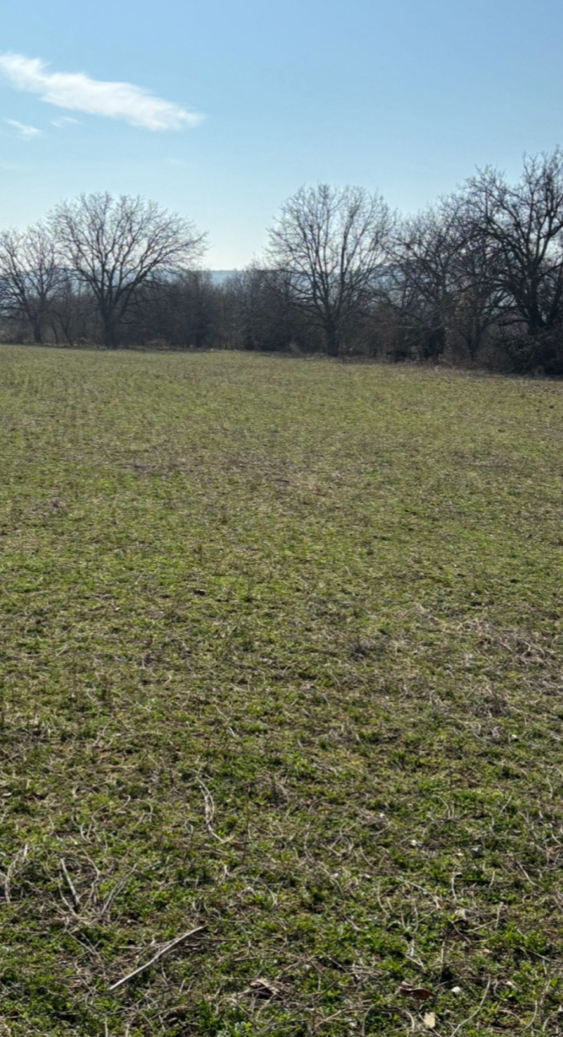 Продава ПАРЦЕЛ, с. Богомилово, област Стара Загора, снимка 4 - Парцели - 52735291