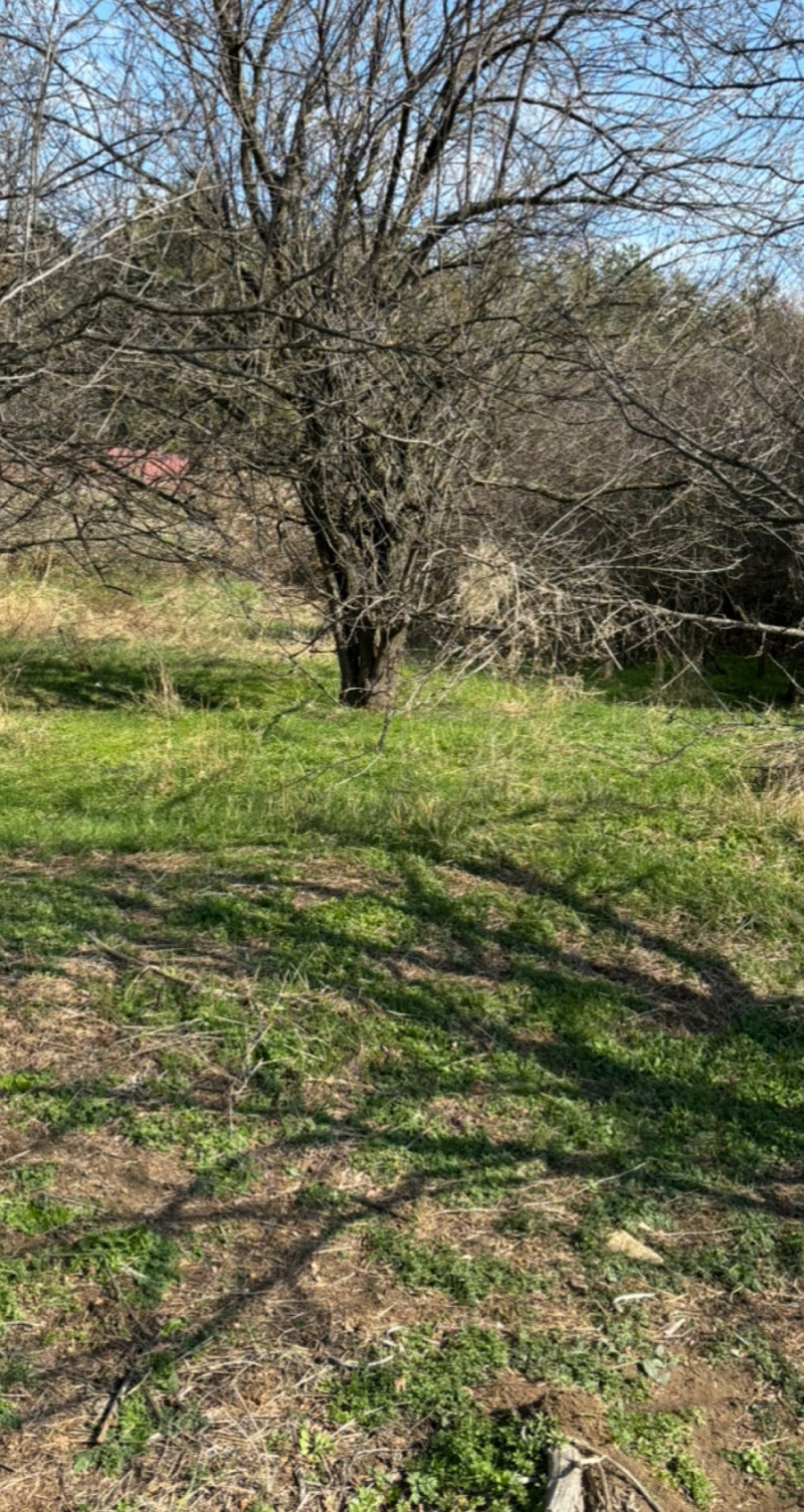 Продава ПАРЦЕЛ, с. Богомилово, област Стара Загора, снимка 16 - Парцели - 52735291