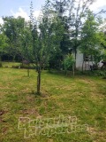 Продава ПАРЦЕЛ, град Велико Търново, Зона Б • 108000 € / 211229.64 лв. • 35827811 8