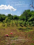 Продава ПАРЦЕЛ, град Велико Търново, Зона Б • 108000 € / 211229.64 лв. • 35827811 7