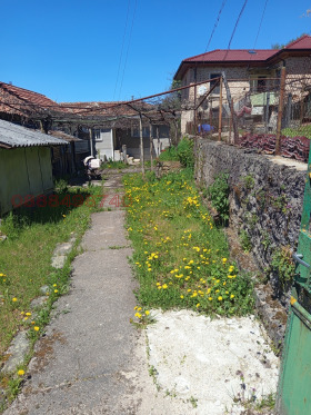 ����� ������� ����,�. ������, ������ �������