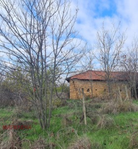 ����� ������� ������,�. �������, ������ �������