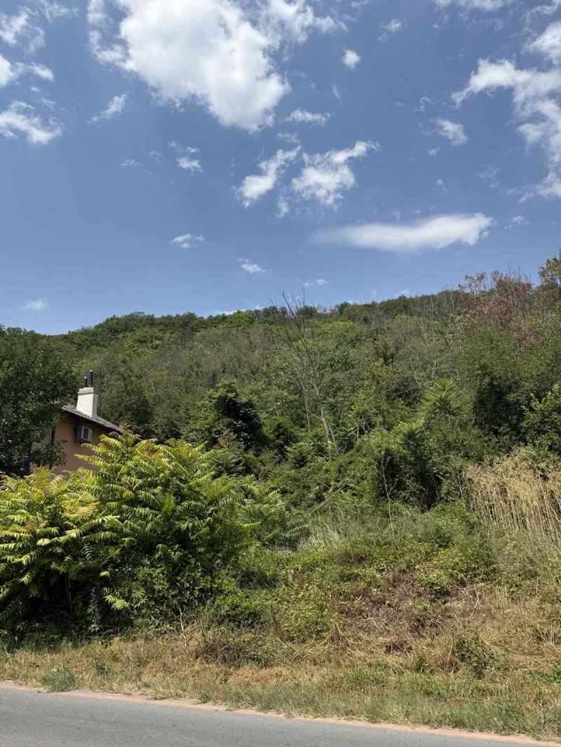 For Sale  Plot region Dobrich , Balchik , 1817 sq.m | 86358430