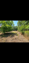 Продава ВИЛА, област Перник, с. Прибой • 40000 € • 84423738 — Holmes.bg