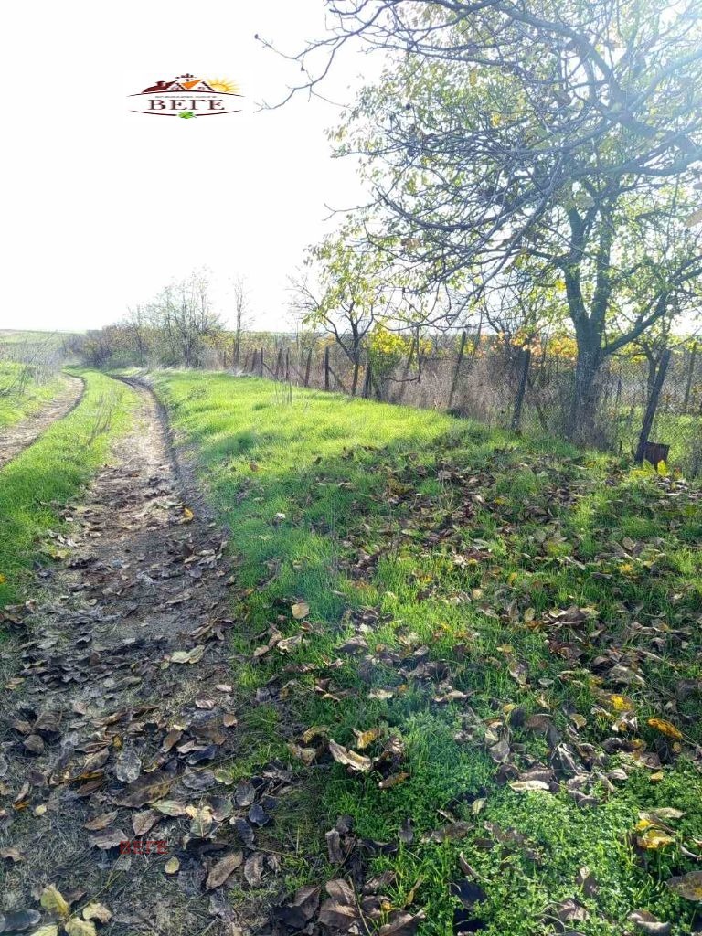 Продава КЪЩА, с. Бяло поле, област Стара Загора, снимка 2 - Къщи - 52467601