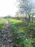 Продава КЪЩА, с. Бяло поле, област Стара Загора, снимка 2