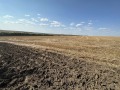 Продава ЗЕМЕДЕЛСКА ЗЕМЯ, с. Фелдфебел Денково, област Добрич, снимка 1