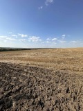 Продава ЗЕМЕДЕЛСКА ЗЕМЯ, с. Фелдфебел Денково, област Добрич, снимка 2