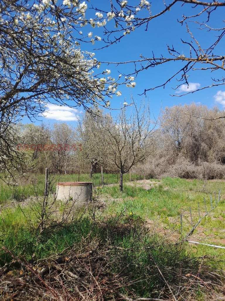 ������� ������ | Imot.bg � ����������� 5