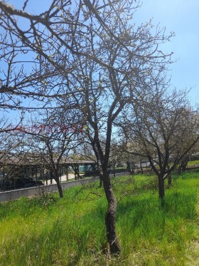 ������� ������ | Imot.bg � ����� ������ 2