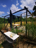 Продава КЪЩА, област Русе, с. Черешово • 19500 € • 75482149 — Holmes.bg