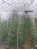 Продава ВИЛА, град Русе, Чародейка - Юг • 89000 € • 87538584 — Holmes.bg