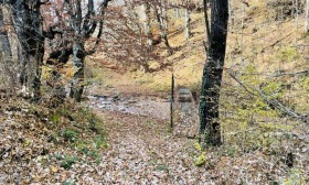 Komplo Ribarica, bölge Lofça 13