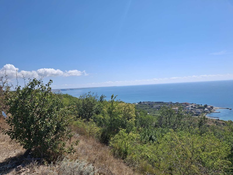 Продава ПАРЦЕЛ, с. Топола, област Добрич, снимка 4 - Парцели - 52568540