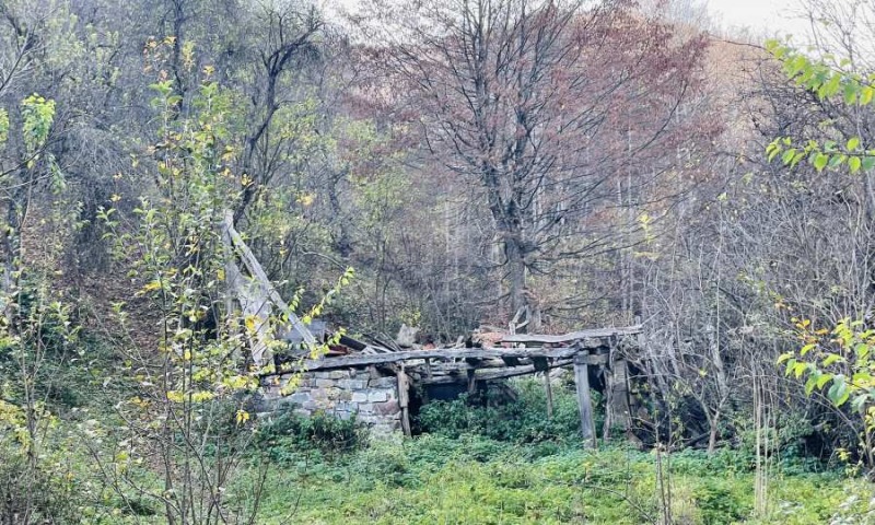 Til salg  Grund region Lovech , Ribaritsa , 5296 kvm | 35029675 - billede [12]