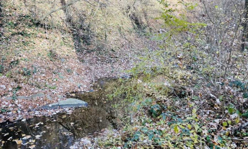 Til salg  Grund region Lovech , Ribaritsa , 5296 kvm | 35029675 - billede [15]
