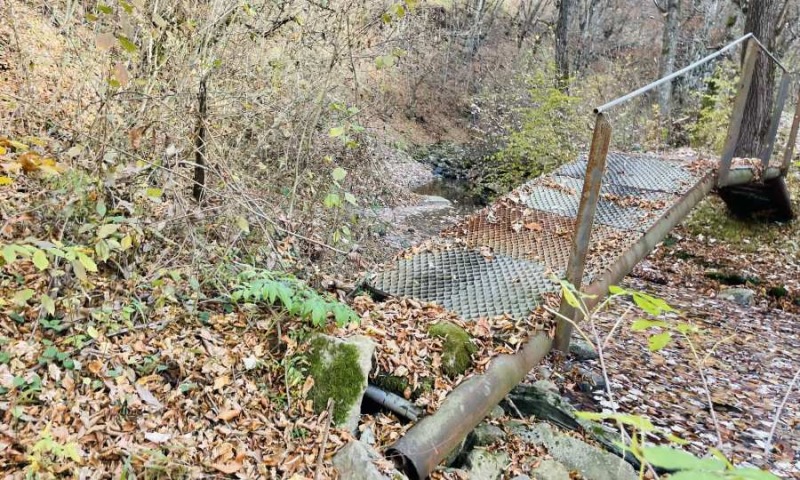 Til salg  Grund region Lovech , Ribaritsa , 5296 kvm | 35029675 - billede [11]