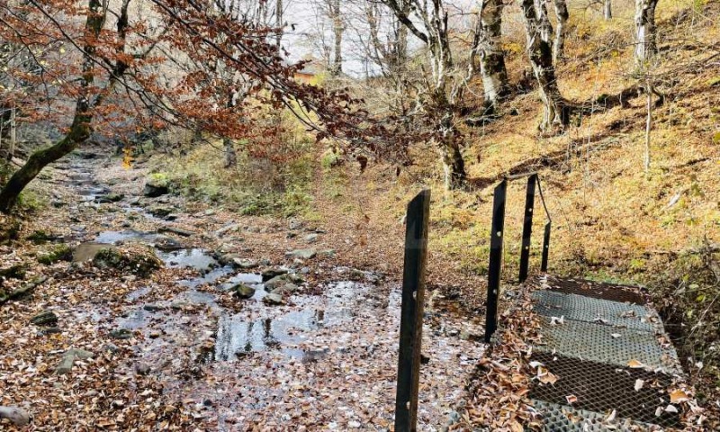 Til salg  Grund region Lovech , Ribaritsa , 5296 kvm | 35029675 - billede [4]