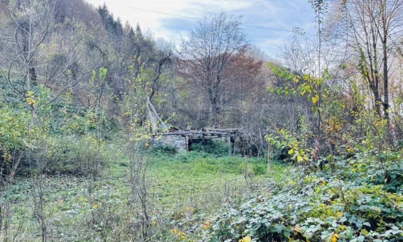 Til salg  Grund region Lovech , Ribaritsa , 5296 kvm | 35029675 - billede [8]