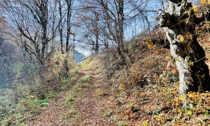 Til salg  Grund region Lovech , Ribaritsa , 5296 kvm | 35029675 - billede [14]