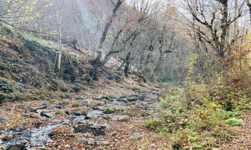 Til salg  Grund region Lovech , Ribaritsa , 5296 kvm | 35029675 - billede [3]