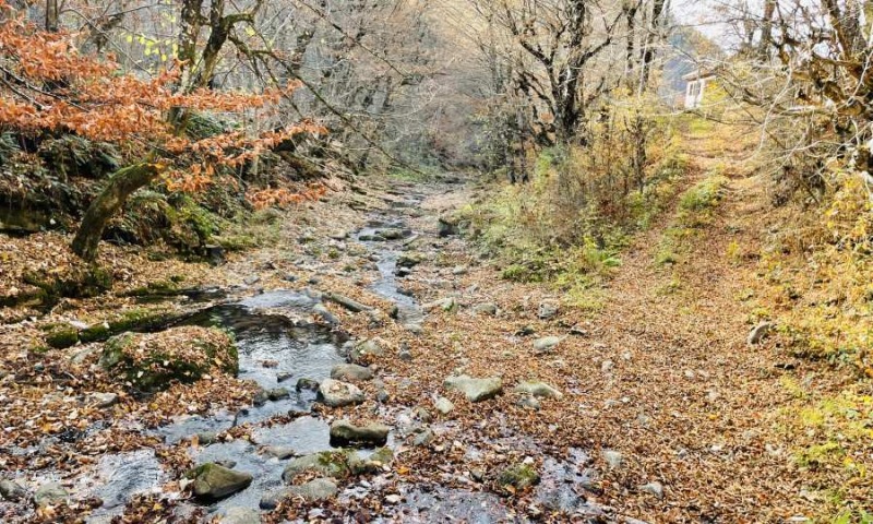 Til salg  Grund region Lovech , Ribaritsa , 5296 kvm | 35029675 - billede [2]