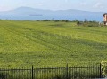 Продава КЪЩА, гр. Поморие, област Бургас, снимка 3