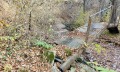 Продава ПАРЦЕЛ, област Ловеч, с. Рибарица • 24500 € • 86000394 — Holmes.bg