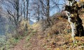 Продава ПАРЦЕЛ, област Ловеч, с. Рибарица • 24500 € • 86000394 — Holmes.bg