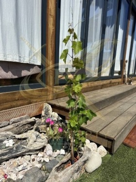 ������� ������ | Imot.bg � ����� ������ 5