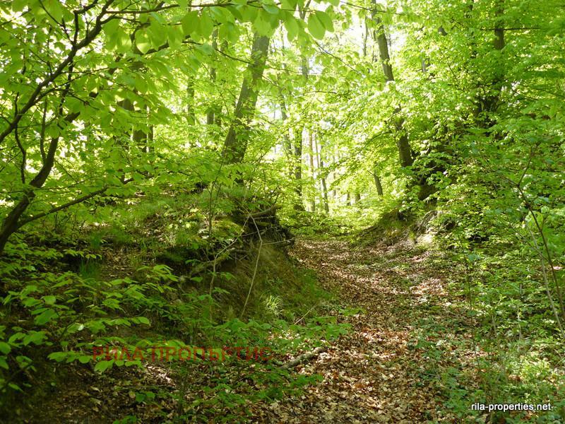 Продава ПАРЦЕЛ | Imot.bg — изображение 7