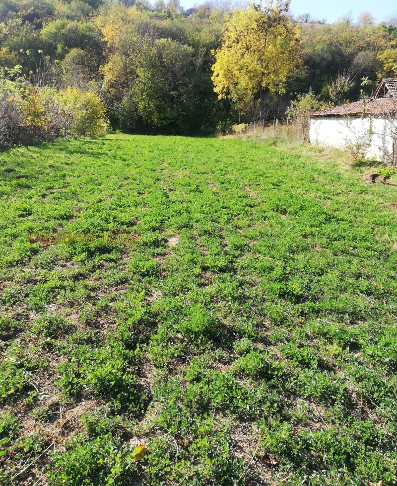 Продава ПАРЦЕЛ в област Враца, гр. Мизия - 900 кв.м / 4 000 € » 7 823.32 лв.