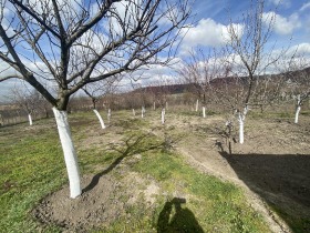 ������� ���� | Imot.bg � ����� ������ 11