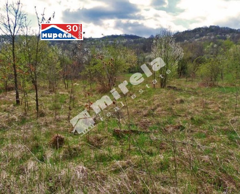 Te koop  Huis regio Veliko Tarnovo , Dedina , 127 m² | 18634018 - afbeelding [7]