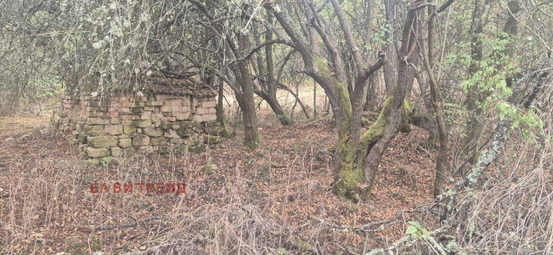 Продава КЪЩА, с. Шума, област София област, снимка 7 - Къщи - 52378466