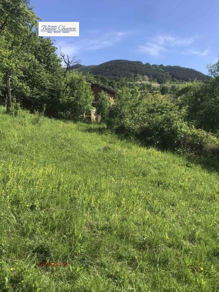 ������� ������ | Imot.bg � ����������� 4