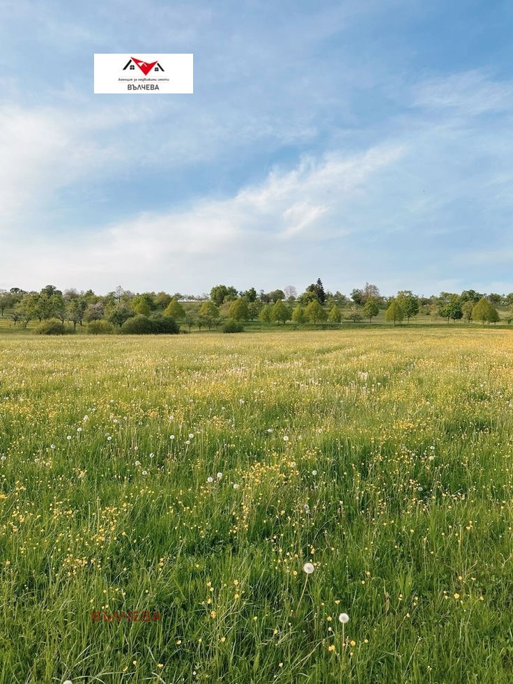 ������� ���������� ���� | Imot.bg � ����������� 1