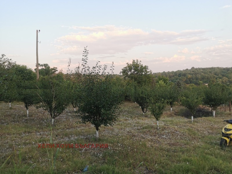 Продаја  Кућа Русе , в.з. Русофили , 64 м2 | 84999731 - слика [3]