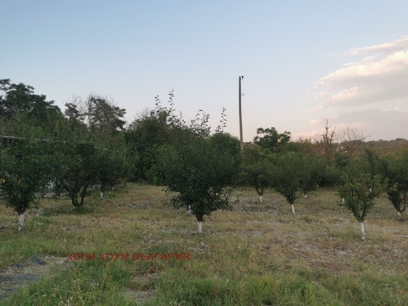 Продаја  Кућа Русе , в.з. Русофили , 64 м2 | 84999731 - слика [4]