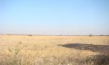 Продава ПАРЦЕЛ, с. Стряма, област Пловдив, снимка 1