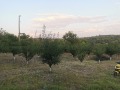 Продава КЪЩА, град Русе, в.з. Русофили • 49000 € • 83221349 — Holmes.bg