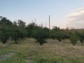 Продава КЪЩА, град Русе, в.з. Русофили • 49000 € • 83221349 — Holmes.bg