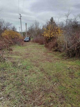 ������� ������ | Imot.bg � ����� ������ 5