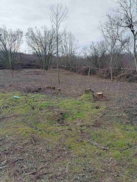 ������� ������ | Imot.bg � ����� ������ 2