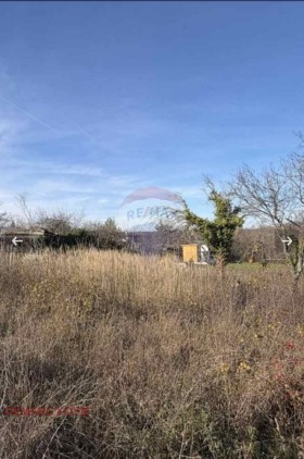 ����� ������� ������,���� �����, �-� �����������