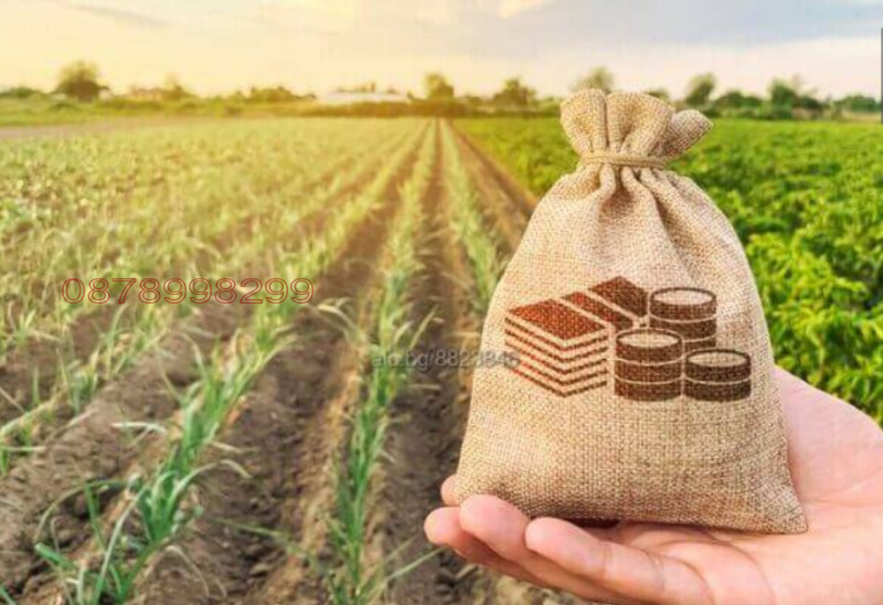 Продава ПАРЦЕЛ, с. Оризаре, област Бургас, снимка 3 - Парцели - 52946544