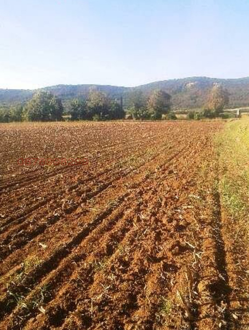 Продава ПАРЦЕЛ, с. Оризаре, област Бургас, снимка 2 - Парцели - 52946544